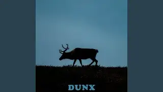 Caribou