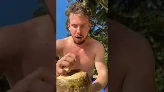 ЖУТКАЯ НАХОДКА В КОКОСЕ 