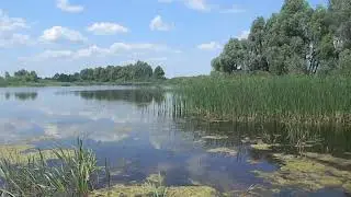 Село Внуковичи. Новозыбковский район. 16.06.2023 г. (часть 1)