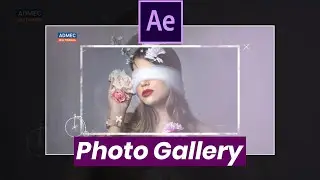 Photo Gallery Animation in After Effects | After Effects Motion Graphics | After Effects Animation