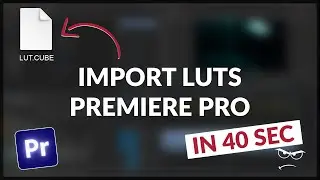 How to IMPORT LUTS | Premiere Pro