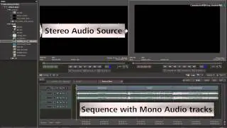 Timeline Editing:  Sequence Patching - Audio Tracks