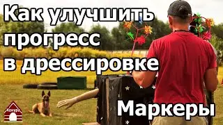 Собака будет схватывать на лету / Как ускорить прогресс в дрессировке/ маркер ДА и маркер НЕТ