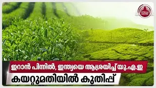 ഇറാന്‍ പിന്നില്‍, ഇന്ത്യയെ ആശ്രയിച്ച് യു.എ.ഇ, കയറ്റുമതിയില്‍ കുതിപ്പ് | Tea Exports | India | UAE