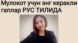 Мулокот учун энг керакли гаплар РУС ТИЛИДА ☝👍