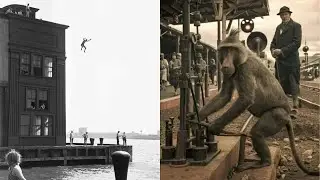 Astonishing Historical Photos