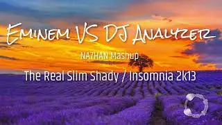 Eminem VS DJ Analyzer | The Real Slim Shady x Insomnia 2k13 (NA7HAN Mashup)