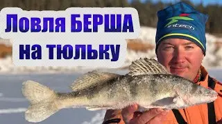 Зимняя рыбалка на берша. Ловля берша на тюльку