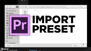 How to import Preset in Adobe Premiere Pro by Chung Dha