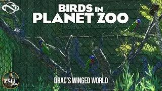 Birds In Planet Zoo! ¦ Drac's Winged World ¦ Planet Zoo Birds