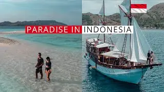 We Sailed Around KOMODO ISLAND - Best Trip Ever