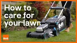 How to care for your lawn | DIY