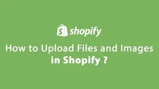Files Settings of Shopify