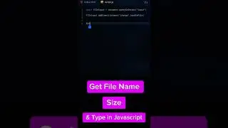 How to get File's Name ,size and type in javascript #webdevelopment #coding #webproject