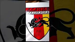 ФК АЛАНИЯ ВЛАДИКАВКАЗ🔥 Моё творчество. #фрэдасбетанти #алания #владикавказ