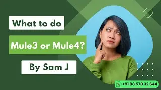 Whether to build career in Mule3 or Mule4?