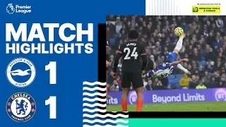 Brighton & Hove Albion 1 Chelsea 1