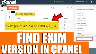 [🔴LIVE] How to Know Exim (mail server) version in cPanel?