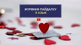 ЖҮРӨККӨ пайдалуу 9 АЗЫК / Түрк диетологунун КЕҢЕШИ...