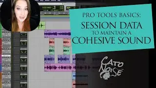 Pro Tools Basics: Importing Session Data for a Cohesive Sound (Across an Artist’s Repertoire)