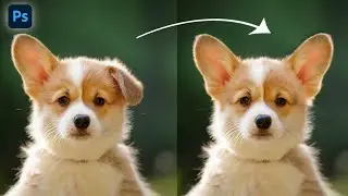 Clone source in photoshop | Clone stamp tool | photoshop tutorial | 