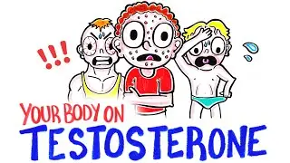 What Happens When You Take Testosterone?