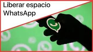 ¿Cómo liberar espacio de WhatsApp en tu iPhone?