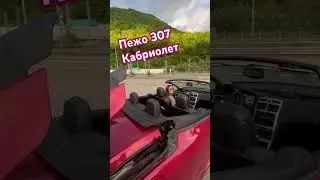 Мой французский друг Пыжик 307 