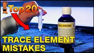 Trace elements in your reef tank. Are you doing it right? Top 20 Trace Element mistakes to consider.