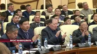 Визит Мамиашвили