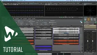 Overview of the Audio Montage in WaveLab Pro | Tutorials