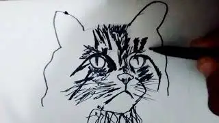 how to draw a Cat sketch❤️💫 #artist #drawing#cat#stepbystep#follow