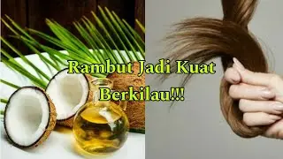 Manfaat Coconut Oil Atau Minyak Kelapa Bagus Untuk Kesehatan Rambut