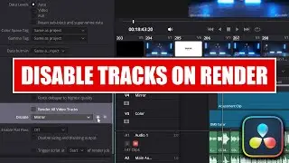 Render w/ Only Selected Video Tracks in DaVinci Resolve [ Disable Tracks on Export Tutorial ]