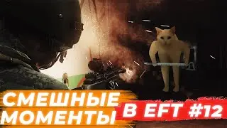 ЛУЧШИЕ МОМЕНТЫ ESCAPE FROM TARKOV. ПРИКОЛЫ TARKOV, TARKOV ПРИКОЛЫ, БАГИ. #12