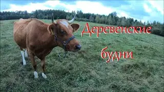 Влог. Осень на хуторе.