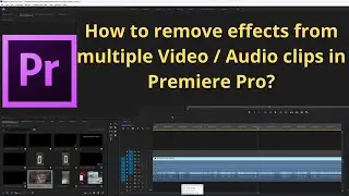 How to remove effects from multiple Video / Audio clips in Premiere Pro at one shot