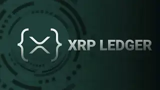 XRP AMM Activity Soars 40x—Analysts Predict Significant XRP Rally Ahead