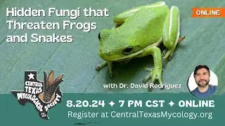 ONLINE: Chytrids - The Hidden Fungi that Threaten Frogs and Snakes