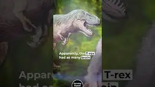 What If Dinosaurs Were Smarter Than Apes?