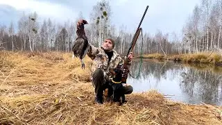 24-Часа на Охоте На фазана и утку. Фазан в запеченный в фольге.