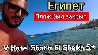 🇪🇬ВИДЕЛИ АКУЛУ НЕПОНЯТНАЯ РЫБА V Hotel Sharm El Sheikh 5* подводный мир красного моря Шаркс Бей