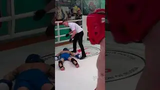 Нокаут с руки #кикбоксинг #mma #ko