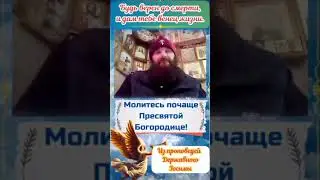 Молитесь почаще Пресвятой Богородицы #царскаяимперия #последнийправославныйцарь #православие