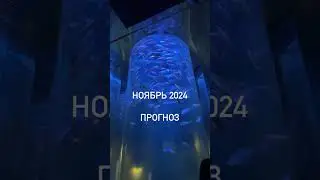 Нумерологический прогноз на ноябрь 2024 года