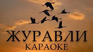 ЖУРАВЛИ КАВЕР / КАРАОКЕ { KORG PA1000 }