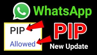 PIP ki ? Er kaj ki ? WhatsApp new Update feature