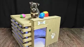 How to Make Amazing Puppy Dog House from Cardboard