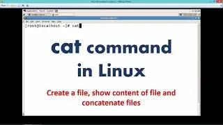 Linux Command - cat | Create, View and Concatenate files using cat command