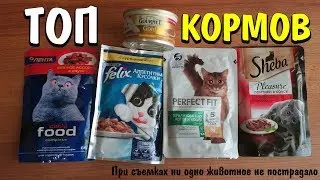 Какой влажный корм для кошек лучше СРАВНИВАЕМ Лента Sheba Perfect Fit Pro Plan Gourmet